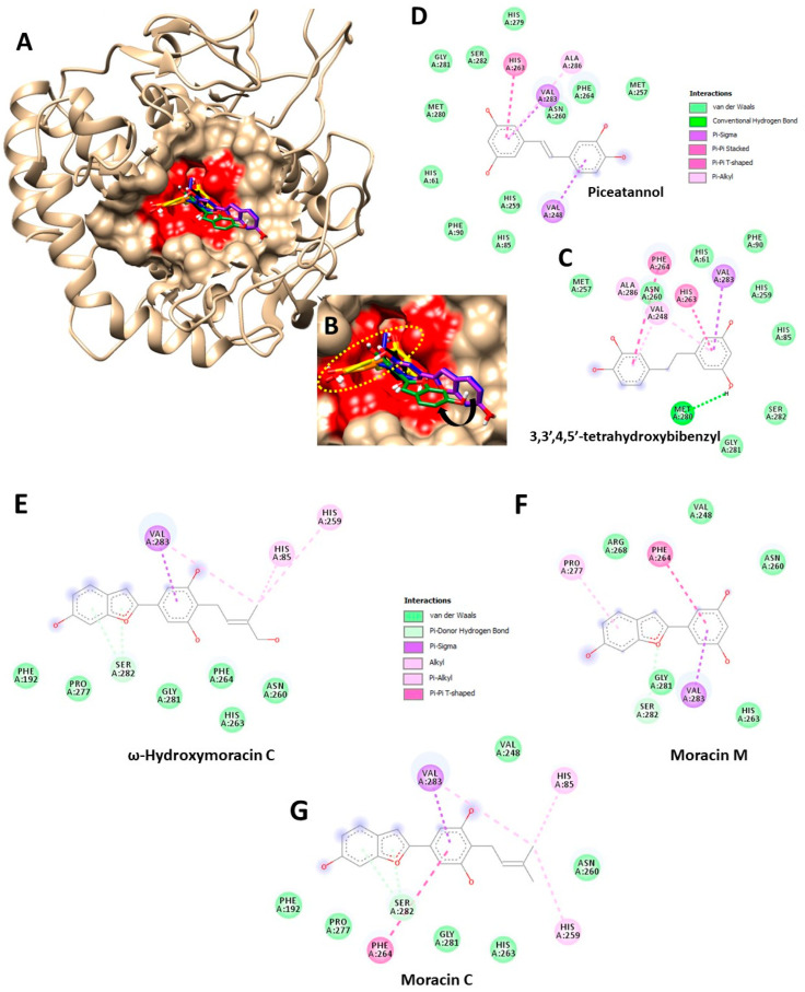 Figure 6