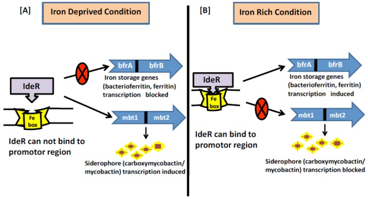 Fig. (3)