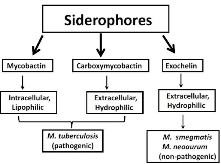 Fig. (2)