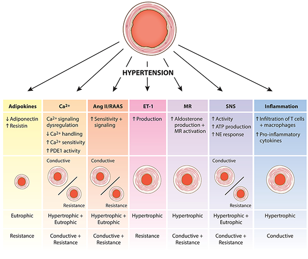 Figure 1: