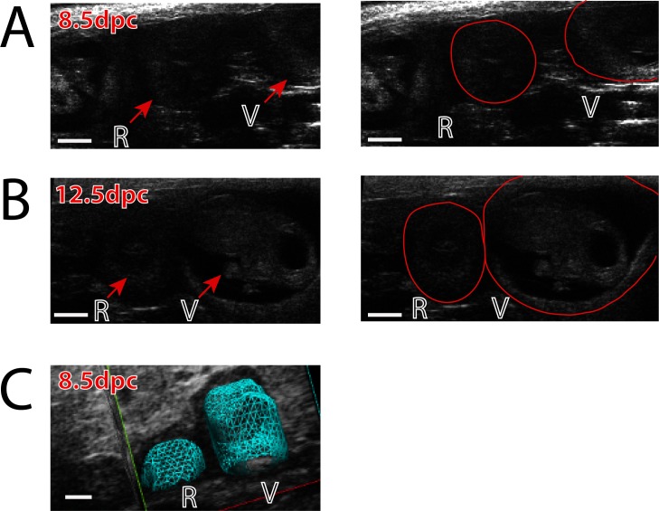 Fig 4