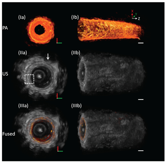 Fig. 3.