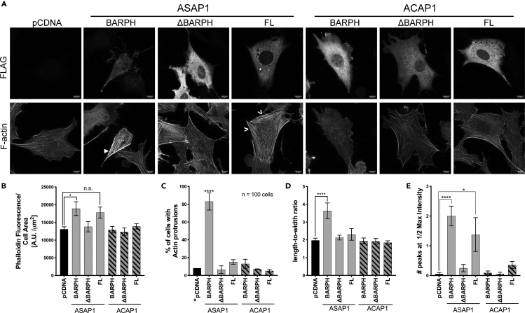 Figure 6