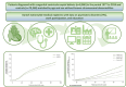 Graphical Abstract
