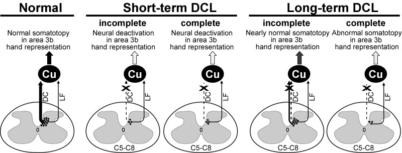 Fig. 5.