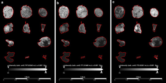 Fig. 3