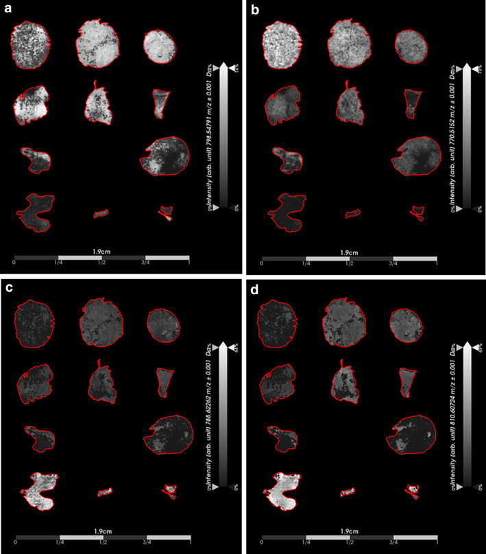 Fig. 2