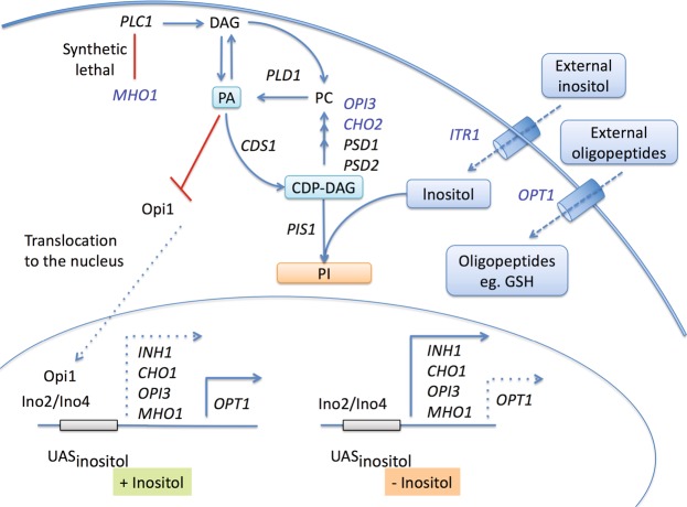 Figure 2