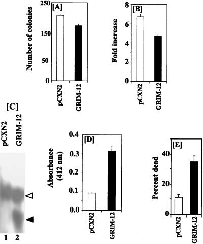 FIG. 15