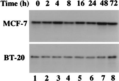 FIG. 7