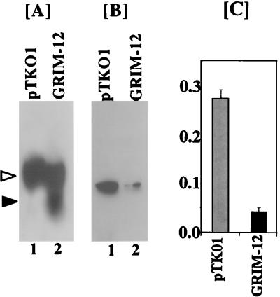 FIG. 10