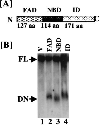 FIG. 11