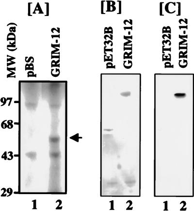 FIG. 6