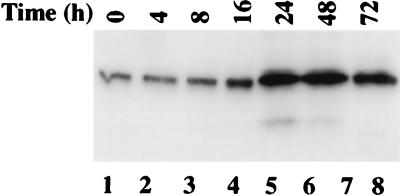 FIG. 8