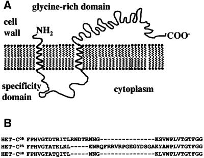 graphic file with name cdf479f1.jpg