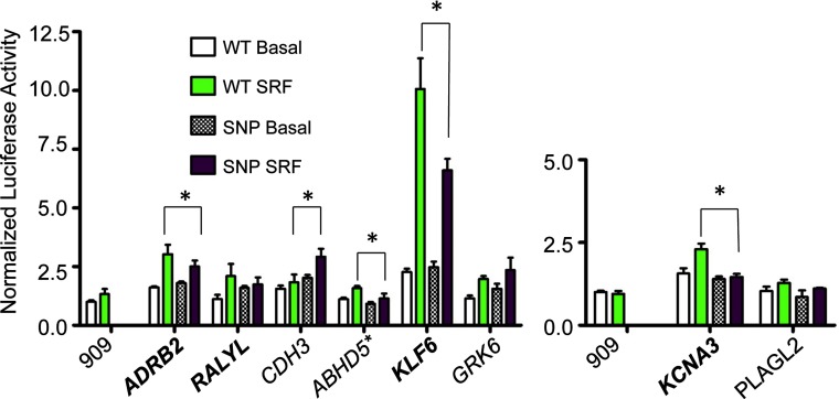 Fig. 7.