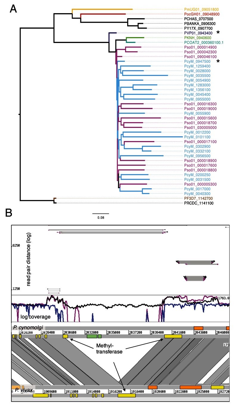 Figure 5. 