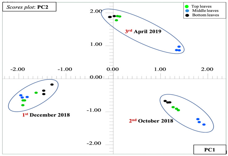 Figure 11