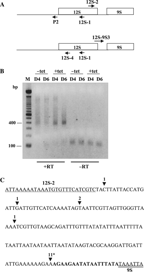 Figure 5.