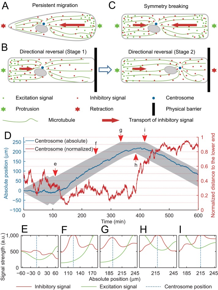 FIGURE 5: