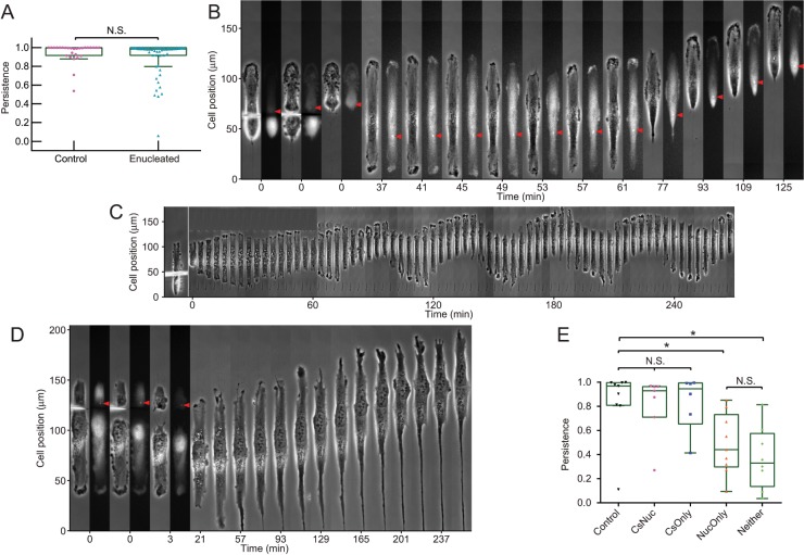 FIGURE 4: