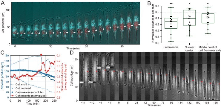 FIGURE 2: