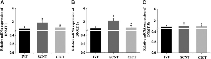 FIG. 5.