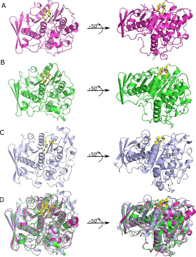 Fig. 2