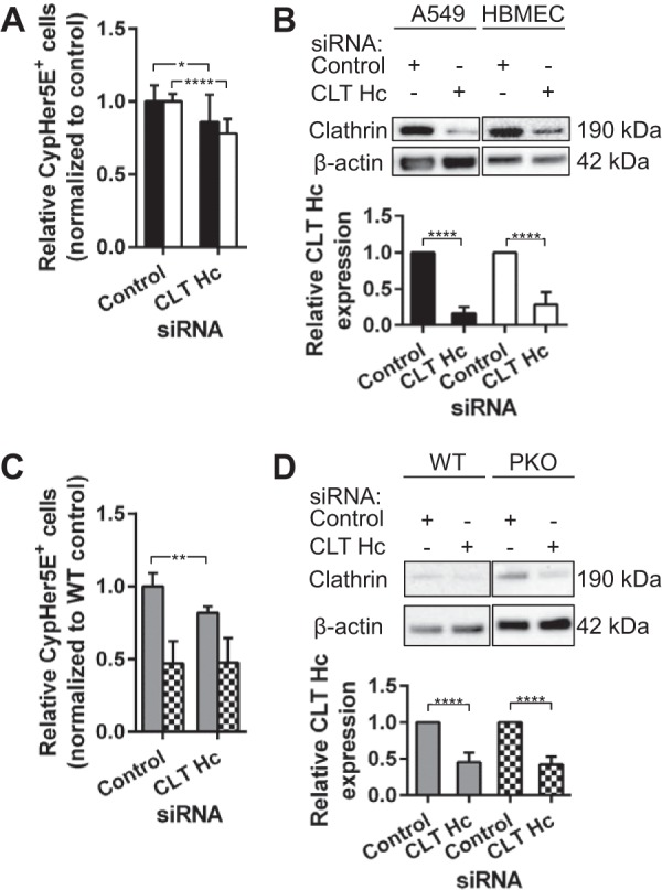 FIG 3 