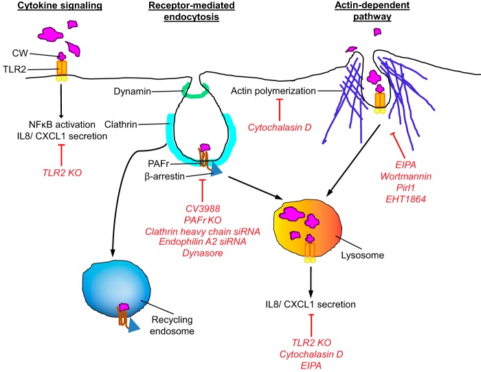 FIG 6 