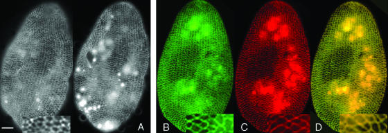 FIG. 7.