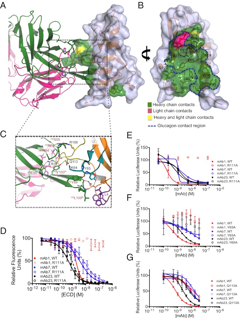 Fig. 4.