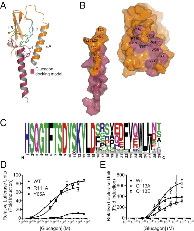 Fig. 3.