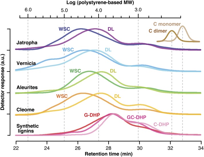 Figure 5.