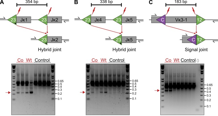 Figure 3.