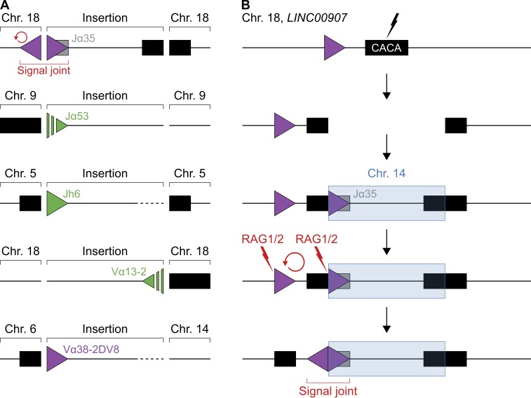 Figure 7.