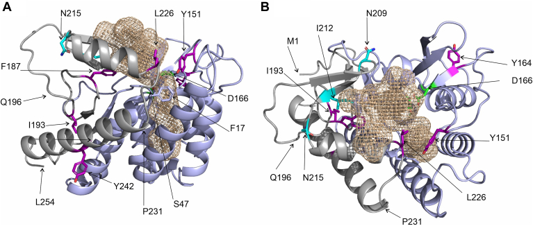 Fig. 4