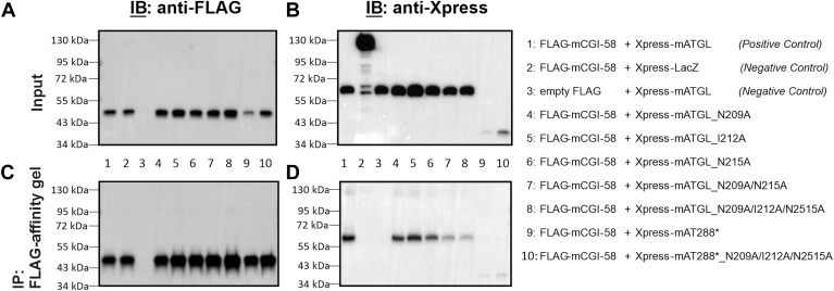 Fig. 7