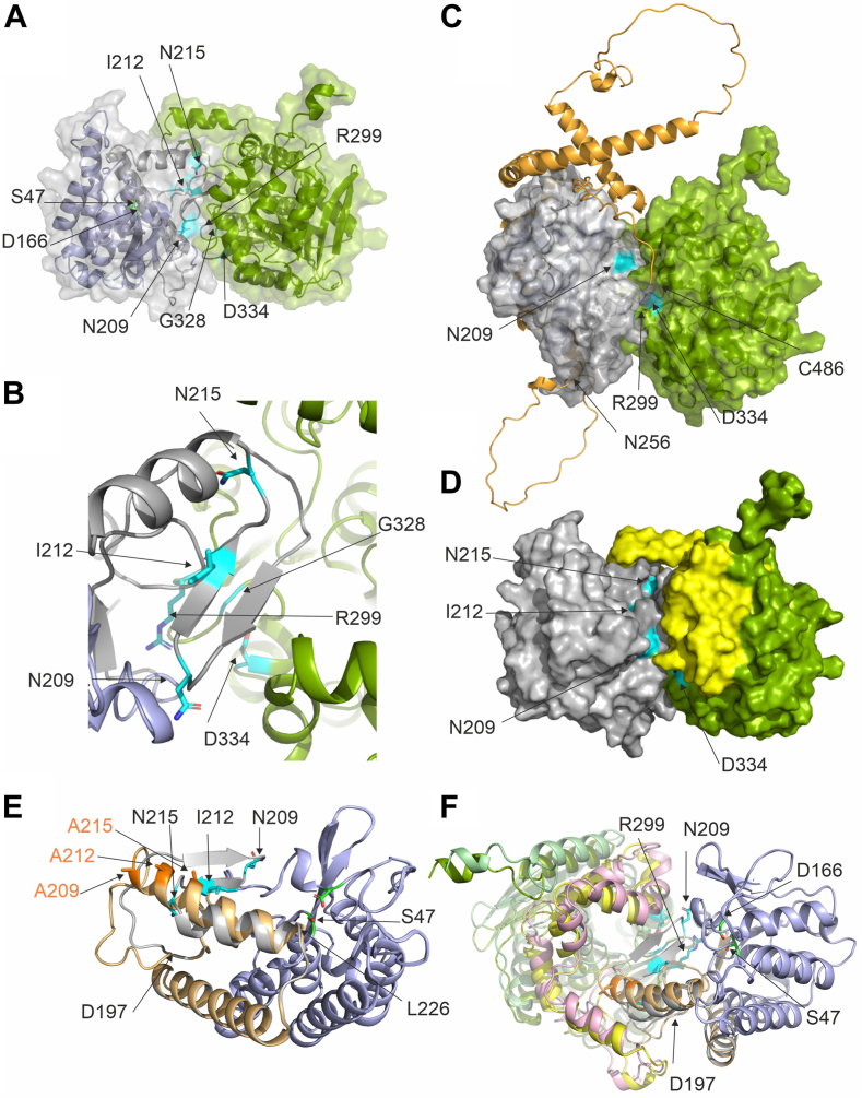 Fig. 8