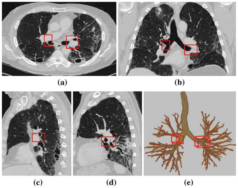 Fig. 6