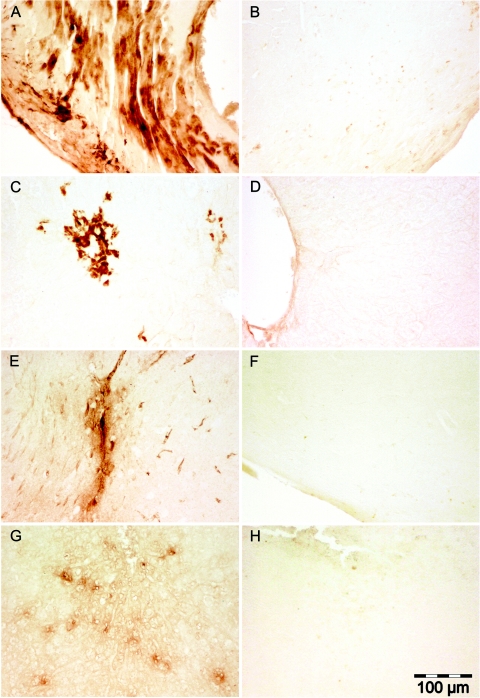 FIG.2.