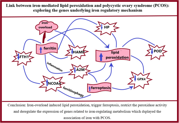 graphic file with name 13048_2024_1562_Figa_HTML.jpg