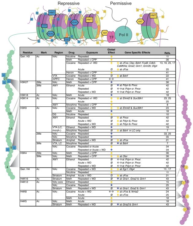 Figure 2/Table 1