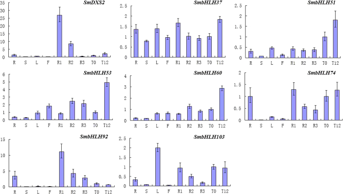 Figure 5