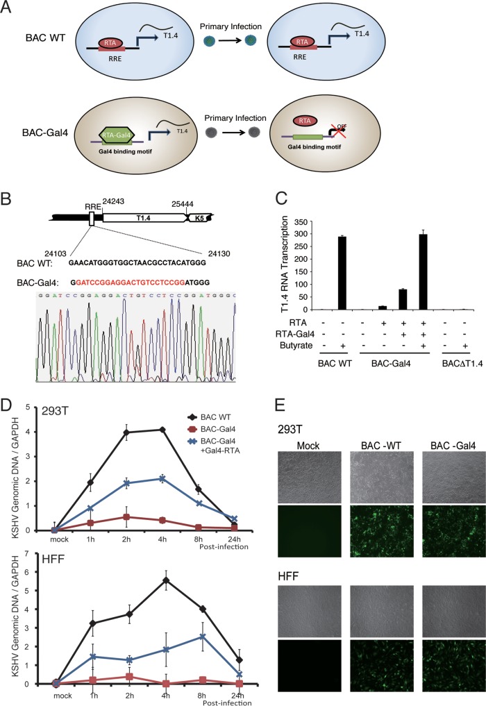 FIG 10