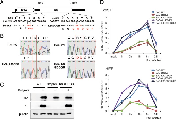 FIG 6