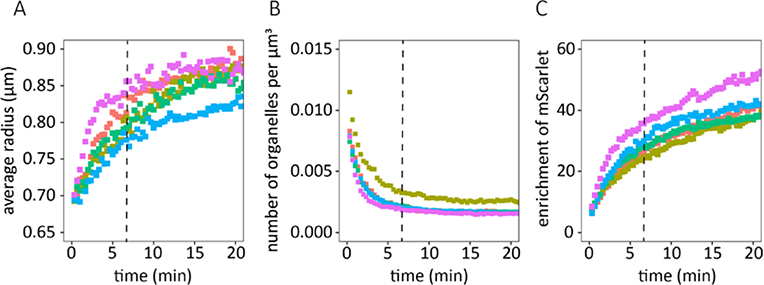 Figure 5.