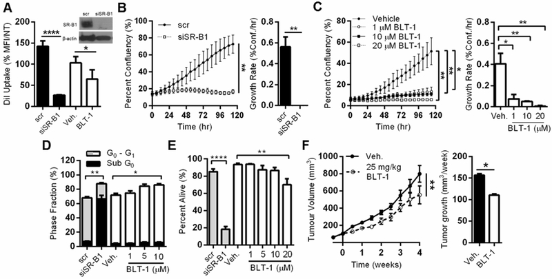 Figure 6: