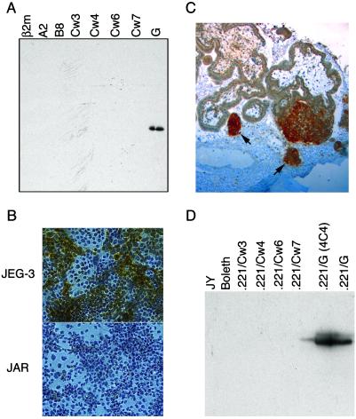 Fig 1.