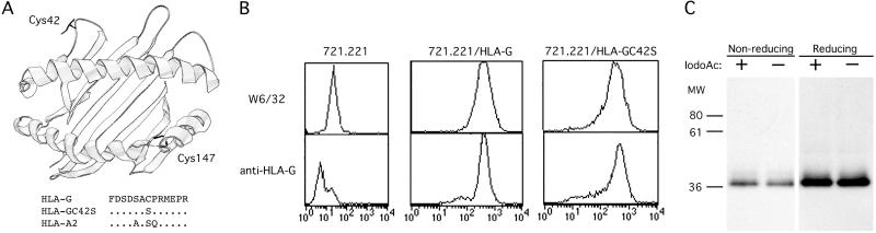 Fig 4.